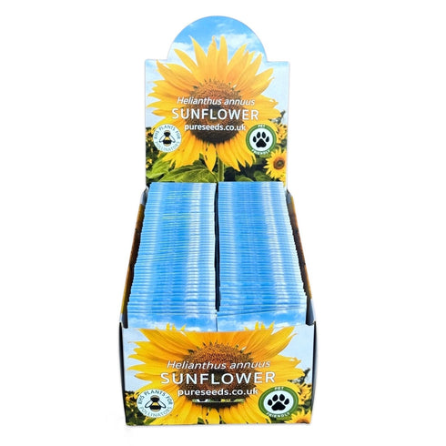 Sunflower Seeds (Bulk Wholesale)